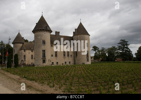 Musee Château de Savigny-lès-Beaune, Cote d'Or Francia. Foto Stock