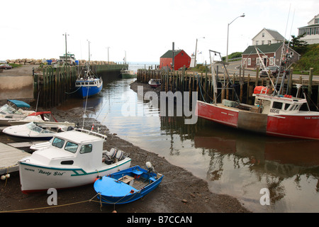 La bassa marea nella Baia di Fundy presso il Padiglione del porto di Nova Scotia in Canada dove alcuni dei più grandi maree del mondo si verificano Foto Stock