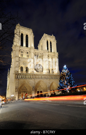 La cattedrale di Notre Dame con albero di Natale e la decorazione nel centro di Parigi, Francia. Foto Stock