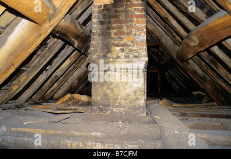 Interno del padiglione spazio nella vecchia casa mostra sollevato camino e di legname e lavoro. Foto Stock