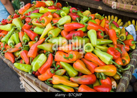 Cesto pieno di peperoni, mercato del carbonio, centro di Cebu City Cebu, Visayas, Filippine Foto Stock