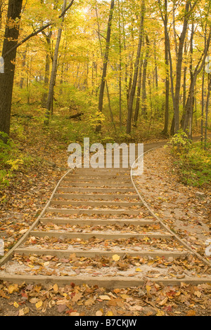 WISCONSIN - sentiero a Parnell torre di osservazione a Kettle Moraine State Forest. Foto Stock