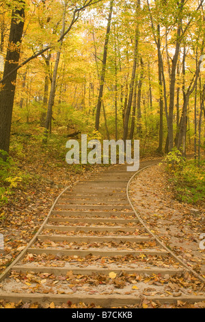 WISCONSIN - passi sul sentiero che conduce al Parnell torre di osservazione a Kettle Moraine State Forest. Foto Stock