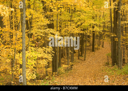 WISCONSIN - sentiero a Parnell torre di osservazione a Kettle Moraine State Forest. Foto Stock