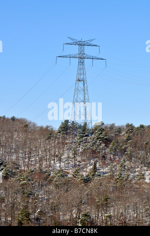 Torre per linee elettriche ad alta tensione in inverno con neve alberi sempreverdi e cielo blu Foto Stock