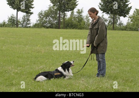 Border Collie (Canis lupus f. familiaris), giovane donna esercita con il suo cane su un prato Foto Stock