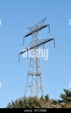 Torre per alta tensione cavi elettrici di potenza o di linee Foto Stock