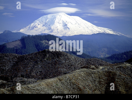 Il Monte Adams, foreste distrutte dopo l eruzione del Mt. Sant'Elena, STATI UNITI D'AMERICA Foto Stock