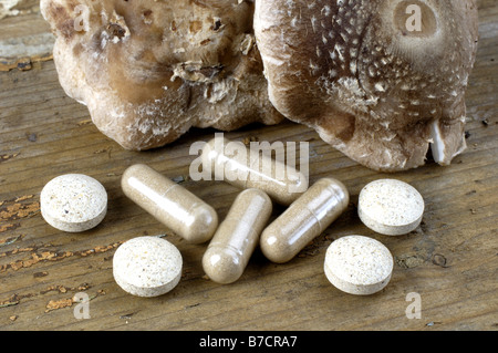 I funghi shiitake (fungo Lentinus edodes), funghi e polvere in una pillola Foto Stock
