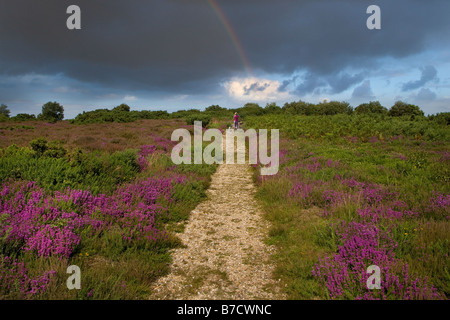 Kelling Heath NORFOLK REGNO UNITO & Rainbow Foto Stock