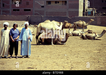 Turisti e residenti presso il famoso Imbaba mercato di cammelli del Cairo in Egitto. Foto Stock