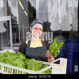 Agriturismo lavoratore con raccolte le lattughe Foto Stock