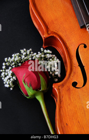 Il violino con rose Foto Stock