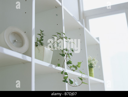 Pianta in vaso e sveglia sul ripiano Foto Stock