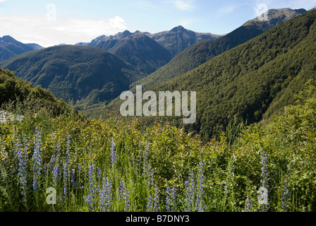 Vista delle Alpi del Sud dall'autostrada statale 7, Lewis Pass, Buller Regione, West Coast, Nuova Zelanda Foto Stock