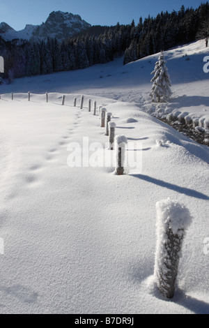 Neve su una fila di pali nelle Alpi, Baviera (Lehenbauern-Alm) Foto Stock