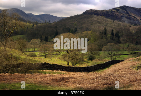 LANGDALE, CUMBRIA, Regno Unito - 23 APRILE 2008: Vista di Great Langdale Foto Stock