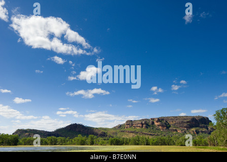 Anbangbang Billabong nel Parco Nazionale Kakadu Foto Stock