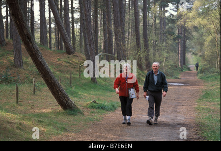 Walkers nel bosco a Ainsdale dune di sabbia Riserva Naturale Nazionale su Mersyside Foto Stock