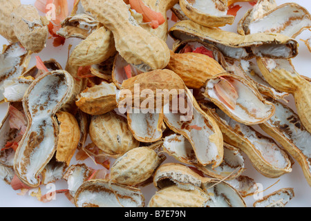 Incrinato gusci di arachidi tostate Foto Stock