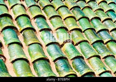 Modello di pentole di verde sul tetto in Marocco Foto Stock