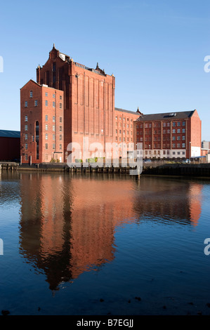 Il mulino di farina in Victoria Street a Nord, Grimsby Foto Stock