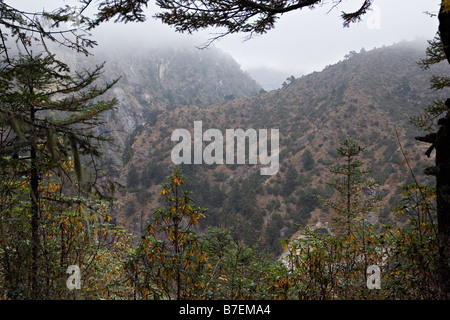 New Scenic 5 posti di Bhote Khosi River Valley vicino a Phurte nel Parco Nazionale di Sagarmatha Solokhumbu regione Nepal Foto Stock