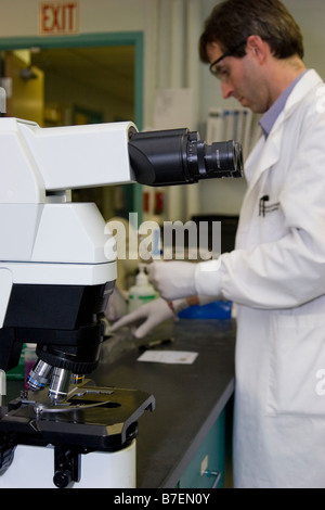 Maschio tecnico di laboratorio lavora dietro al microscopio Foto Stock