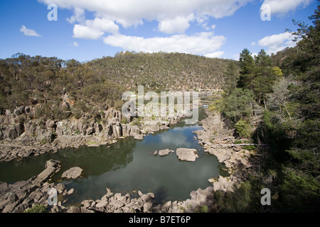 Cataract Gorge Riserva, Launceston, Tasmania Foto Stock