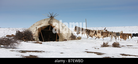 Yupic tenda e pelle di renna, Kanchalan situato nel Chukot Regione autonoma, Siberia, Russia Foto Stock