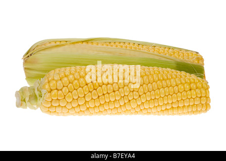 Fresco di tutoli di mais isolato su uno sfondo bianco Foto Stock