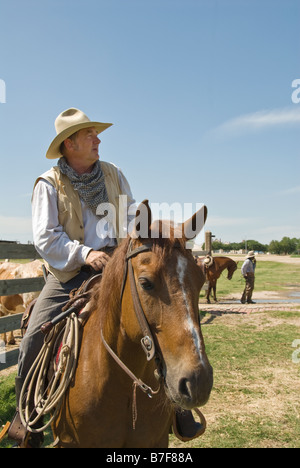 Texas Fort Worth Stockyards National Historic District cowboy a cavallo Foto Stock
