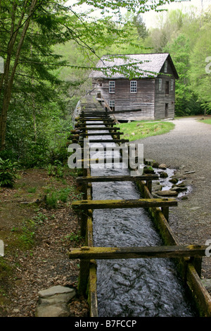 Mingus mulino in Great Smoky Mountains, STATI UNITI D'AMERICA Foto Stock