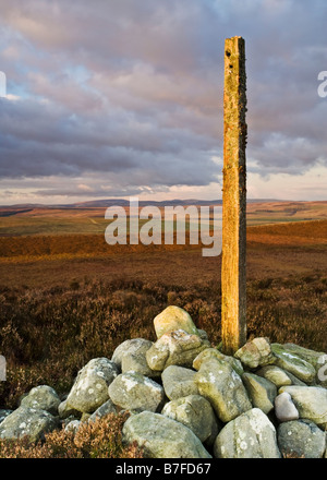 Post di marcatore sul percorso del Pennine Way al vertice del Whiteley Pike nella sezione di Redesdale della passeggiata Foto Stock