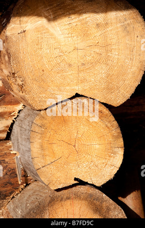 Giunti tra i tronchi in una parete di cabina di tronchi , Finlandia Foto Stock