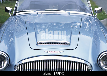 Austin-Healey a car show, Stavern, Norvegia Foto Stock