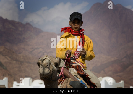 Ragazzo beduino su un cammello, Dahab, Egitto Foto Stock
