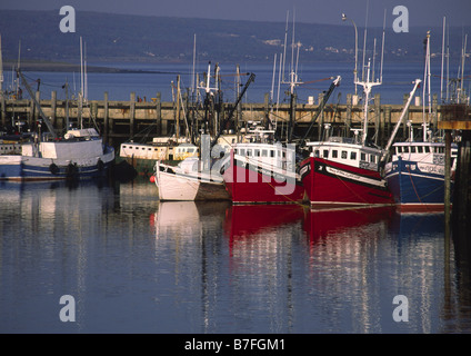 Smerlo draggers Digby Nova Scotia Canada Foto Stock