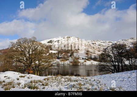 E Loughrigg Loughrigg Tarn. Parco Nazionale del Distretto dei Laghi, Cumbria, England, Regno Unito, Europa. Foto Stock