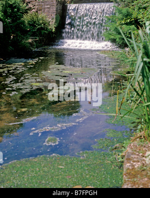 La cascata nel giardino giapponese a Newstead Abbey Foto Stock