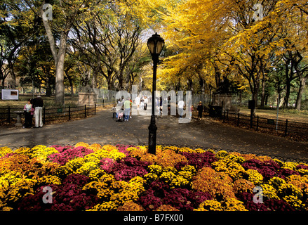 New York City Central Park autunno il centro commerciale piantato con letti di fiori di crisantemo. Fogliame autunnale New York. Foto Stock