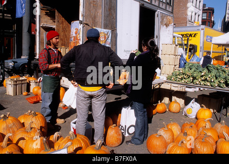 Vendita di zucche al New York City Union Square Green Market. Vendita di zucche per strada da un camion o un camion nel distretto di Flatiron. Festa americana Foto Stock