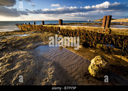 Rock pools di Colwell Bay, Isola di Wight Foto Stock