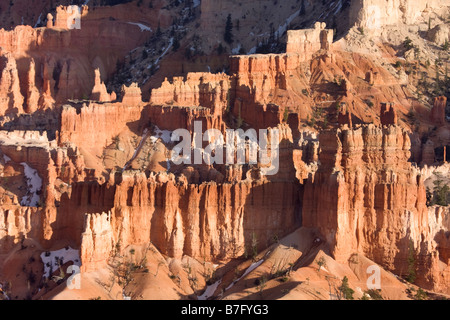 Luce della Sera sulla Cattedrale di Bryce anfiteatro dal punto di tramonto Bryce Canyon National Park nello Utah Foto Stock