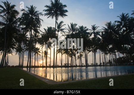 Palm tree silhouettes al tramonto in Sri Lanka si riflette in una grande piscina Foto Stock