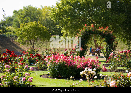 Scott Giardino di Rose, Trousselot Park, Kaiapoi, Distretto di Waimakariri, Canterbury, Nuova Zelanda Foto Stock