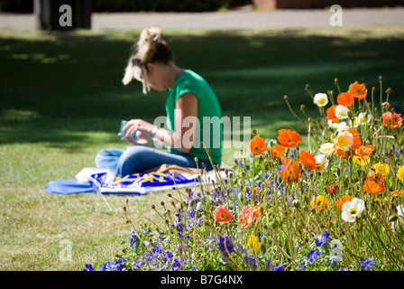 Giovane donna relax sulle rive del fiume Avon, Oxford terrazza, Christchurch, Canterbury, Nuova Zelanda Foto Stock