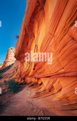 Le formazioni rocciose in Vermiglio scogliere monumento nazionale, Arizona Foto Stock