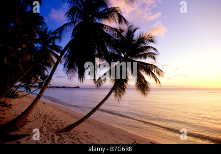 Pigeon Point Beach a Tobago. Foto Stock