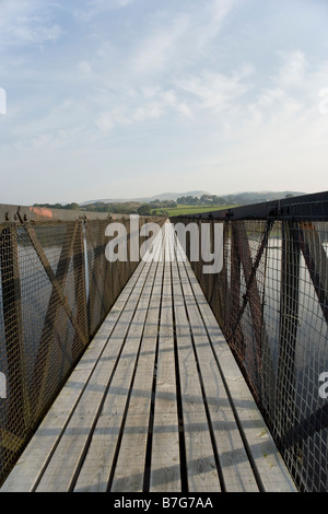 Piedi ponte Llyn Trawsfynydd dal villaggio di Trawsfynydd, il Galles del Nord Foto Stock